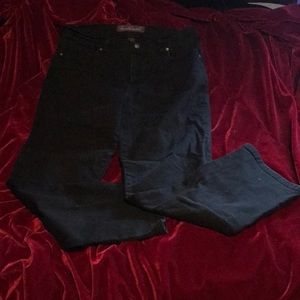 Ladies Gloria Vanderbilt Amanda jeans,
